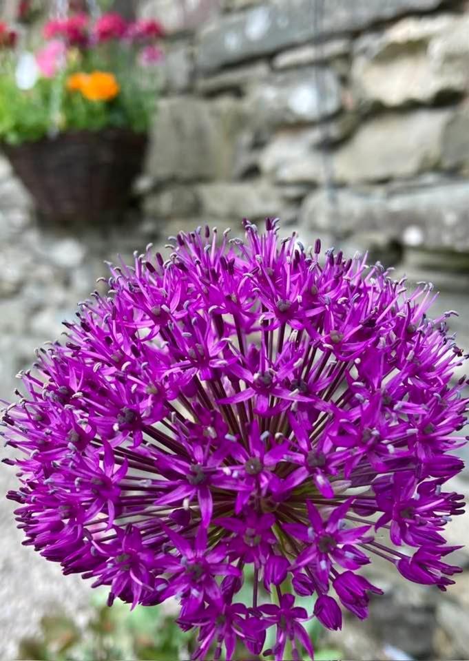 Crookabeck B&B Patterdale Exterior foto